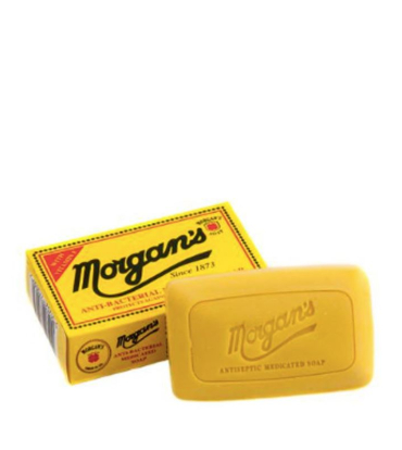 Morgan's Antibacterial Soap